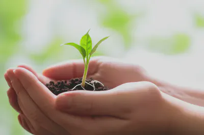 꾸준한 노력으로 얻는 눈 건강