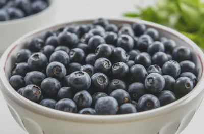 신선한 블루베리가 담긴 그릇