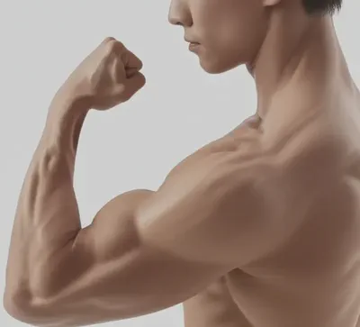 탄탄하고 선명해진 팔과 어깨 근육