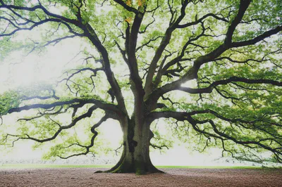 꾸준한 노력이 가져다주는 장기적인 노화예방 효과