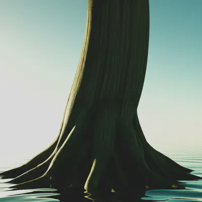 고요한 마음과 굳건한 몸을 상징하는 이미지