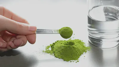 모링가 분말을 정확하게 측정하는 손