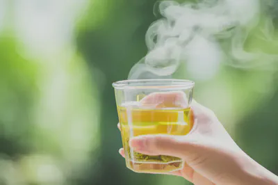 자연 속에서 모링가 차를 마시는 손