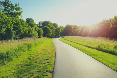 멀리 뻗어있는 길을 보여주는 풍경