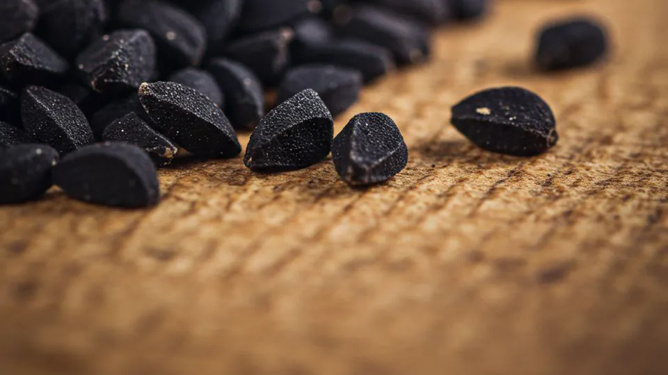 아니 근데 블랙커민씨드, 이렇게 간단한 거였어요?