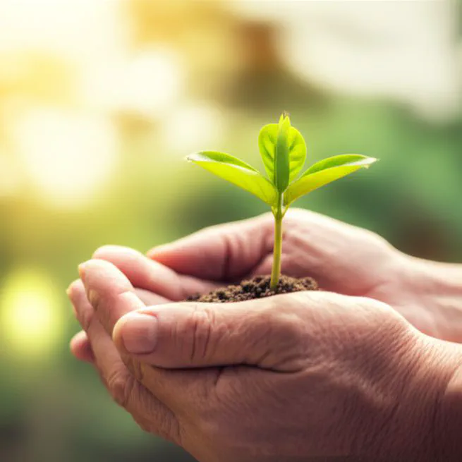 솔직히 노화예방운동, 이렇게 하는 건 처음 알았네요