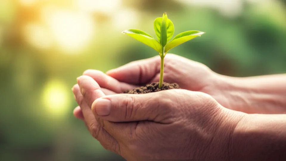 솔직히 노화예방운동, 이렇게 하는 건 처음 알았네요