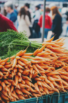 신선한 당근, 그 자체로 건강의 상징입니다.
