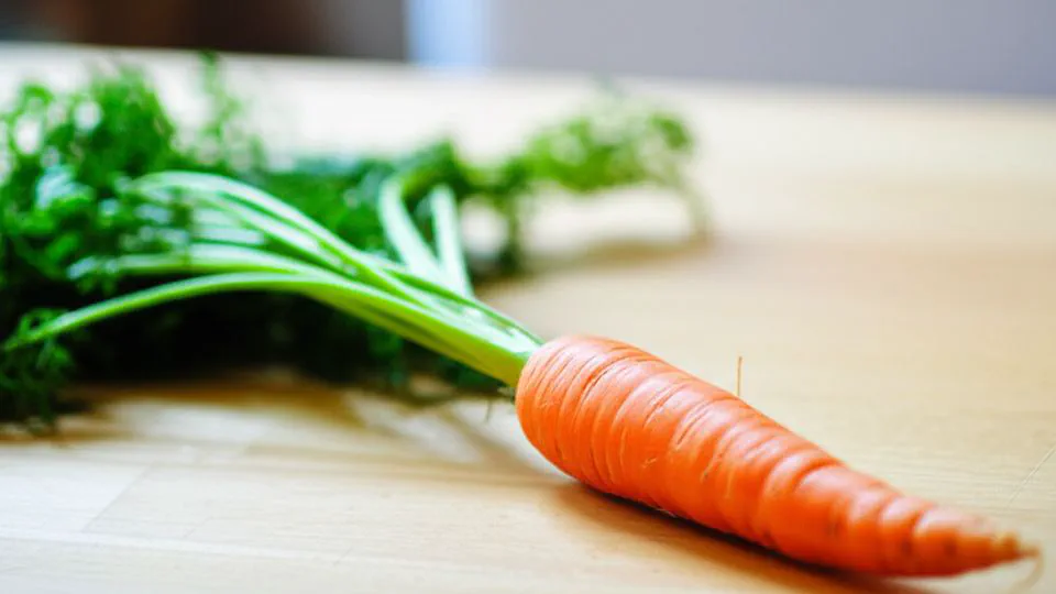 매일 당근 효능 때문에 고민이었는데, 이거 하나만 바꿨더니 완전히 달라졌어요