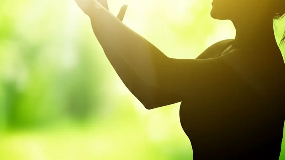 홍삼 효과, 매번 실망했다면? 솔직히 이걸 놓친 거예요