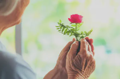 건강하고 활기찬 노년을 상징하는 손과 식물