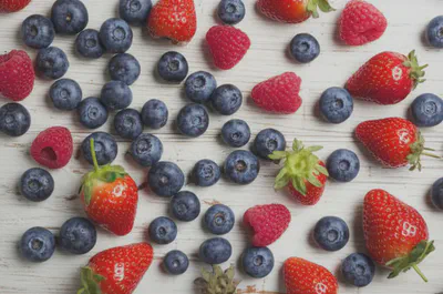 다양한 종류의 신선한 베리들