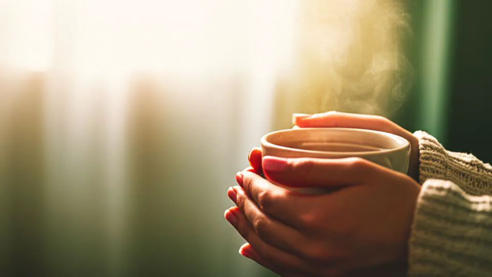 사실 혈액순환에 좋은 차, 우리가 생각했던 거랑 완전히 달랐던 이유