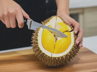 두리안을 칼로 조심스럽게 여는 손