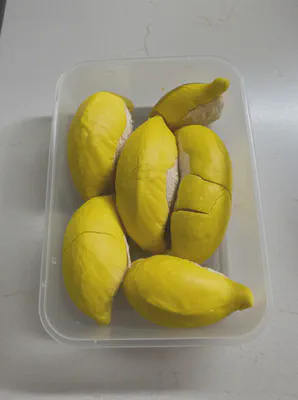 밀폐 용기에 보관된 두리안 과육