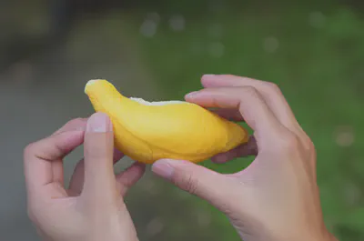 두리안을 맛보고 있는 사람의 손