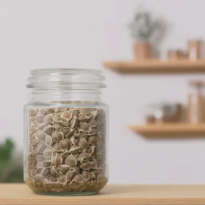 모링가 씨앗의 신선도를 유지하는 보관법