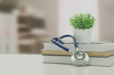 모링가 씨앗 섭취 전 전문가와 상담의 중요성