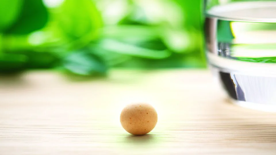 모링가 씨앗 효능, 알고 보니 이렇게 써야 제대로 효과가 나더라