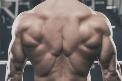 덤벨 숄더 프레스 후 발달된 어깨 근육의 후면