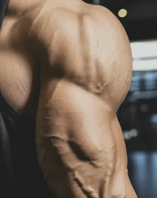 덤벨 숄더 프레스 운동 중 근육의 긴장과 혈류