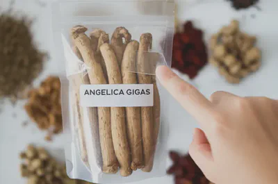 올바른 당귀 선택의 중요성