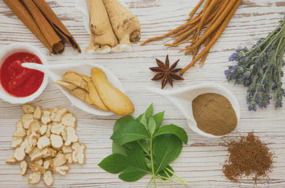 균형 잡힌 건강 관리를 위한 당귀 활용