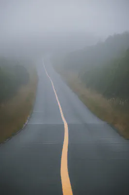 꾸준한 운동의 중요성을 상징하는 길고 잘 정돈된 길