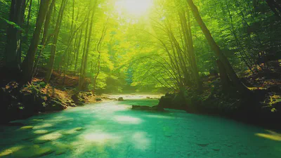 맑고 평화로운 자연 풍경으로 표현된 건강한 상태