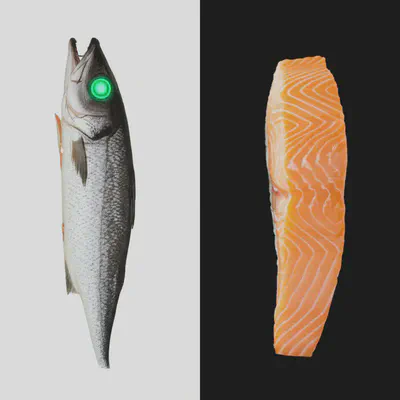 민어에 대한 오해와 진실을 상징하는 이미지