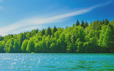 활기찬 여름 풍경