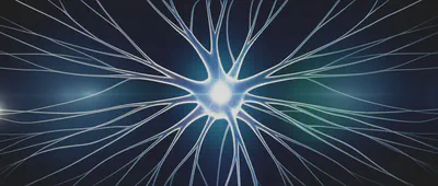 주요 신경계 질환 종류 시각화