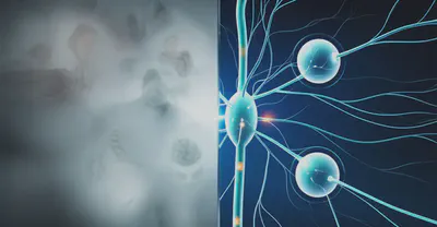 신경계 질환에 대한 오해와 진실