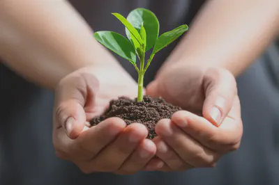 자율신경계 회복은 꾸준한 노력에서 시작됩니다