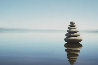 명확한 이해가 회복의 길을 밝힙니다