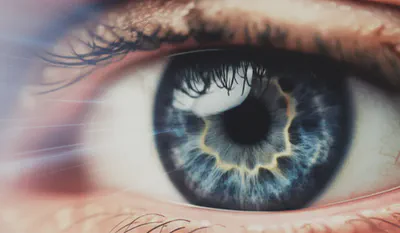 눈 건강과 비문증의 연관성