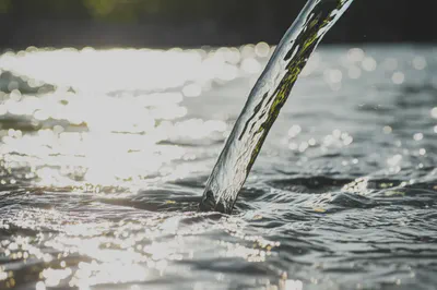 눈 건강을 위한 밝은 미래