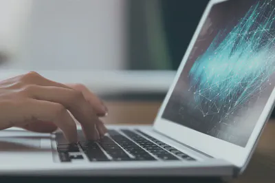 기초대사량 계산을 위한 데이터 입력 장면