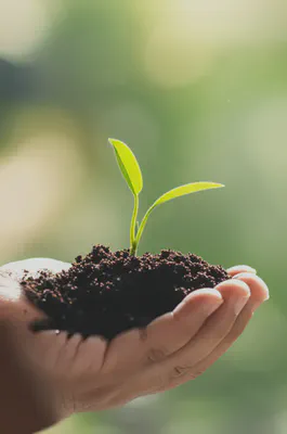 건강한 생활 습관으로 혈액순환 개선의 새싹을 틔우세요.