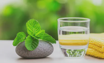 피부 건강을 위한 통합적 접근 방식