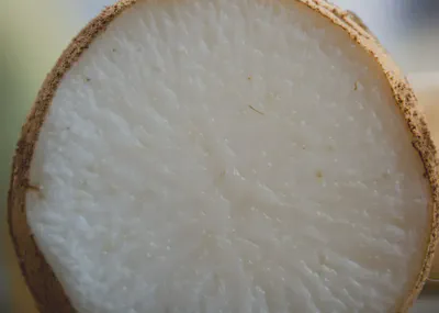 히카마 뿌리 효능의 핵심, 신선한 영양소