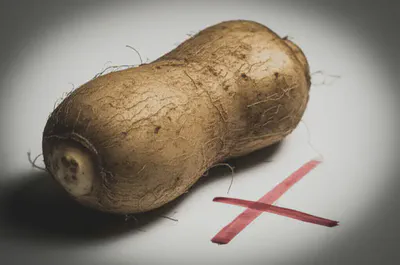 히카마 섭취 시 주의해야 할 점