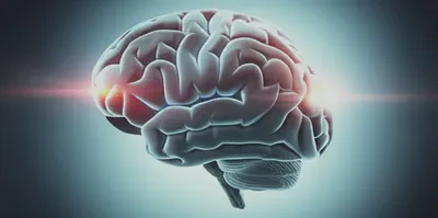 최적의 기능을 발휘하는 건강한 뇌를 상징하는 이미지