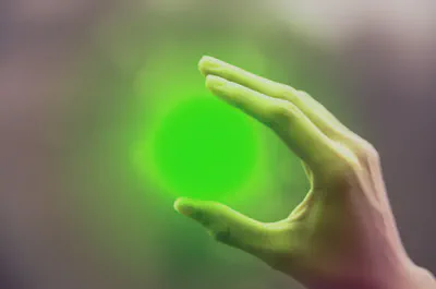 클로로필린이 선사하는 활력의 빛