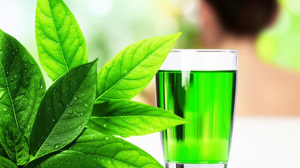 클로로필린의 숨겨진 효능, 전문가들이 추천하는 올바른 섭취법