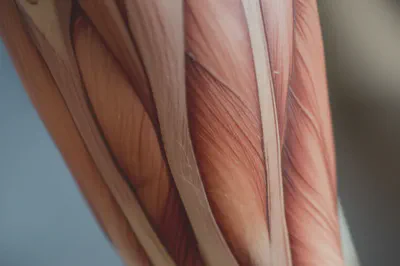 마라톤으로 인한 근육 긴장과 피로