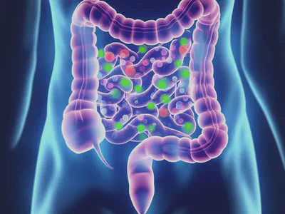 베타인 효능의 핵심, 소화 기능 개선