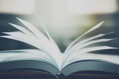 베타인에 대한 오해를 바로잡는 과정