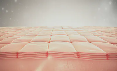 건강하고 튼튼한 피부 장벽의 미세한 구조