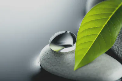 다양한 자연 요소가 조화롭게 어우러진 모습